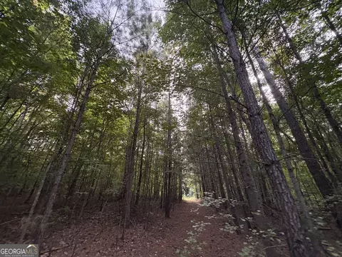7 Bunch Rd, Tignall, GA 30688 photo 34
