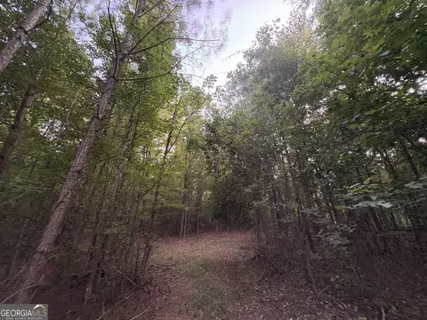 7 Bunch Rd, Tignall, GA 30688 photo 33