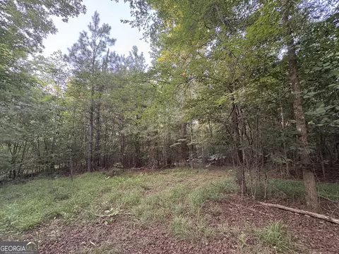 7 Bunch Rd, Tignall, GA 30688 photo 18