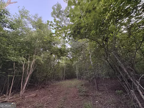 7 Bunch Rd, Tignall, GA 30688 photo 27