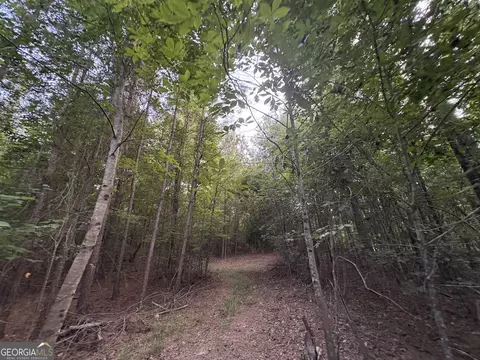 7 Bunch Rd, Tignall, GA 30688 photo 32