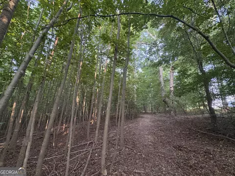 7 Bunch Rd, Tignall, GA 30688 photo 12