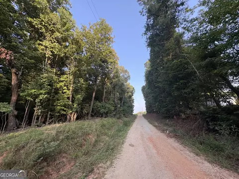 7 Bunch Rd, Tignall, GA 30688 photo 6