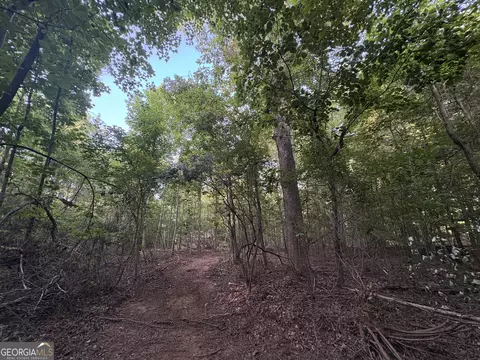 7 Bunch Rd, Tignall, GA 30688 photo 11