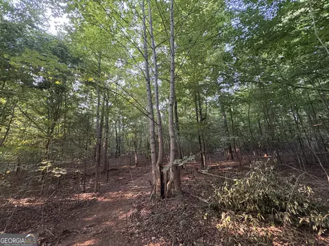 7 Bunch Rd, Tignall, GA 30688 photo 9