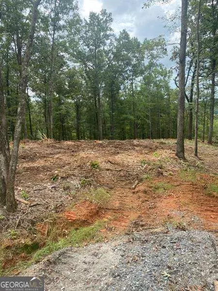 lot56 Ridge Line Trl, Ellijay, GA 30540