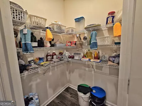 Other - 134 Oakchase Park Ln, Hampton, GA 30228 photo 3 of 7