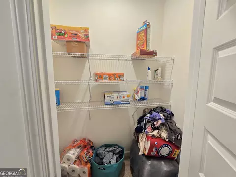 Other - 134 Oakchase Park Ln, Hampton, GA 30228 photo 6 of 7
