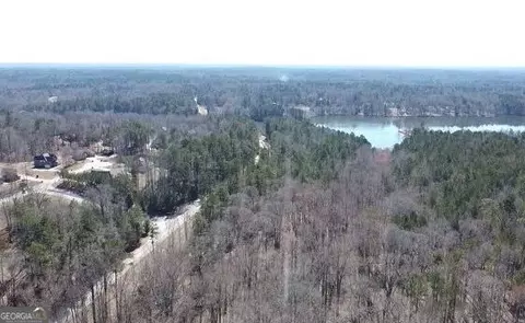 12425 Panhandle Rd, Hampton, GA 30228 photo 2
