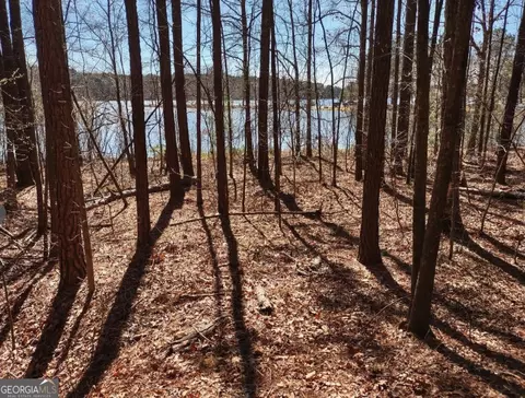 12425 Panhandle Rd, Hampton, GA 30228 photo 5