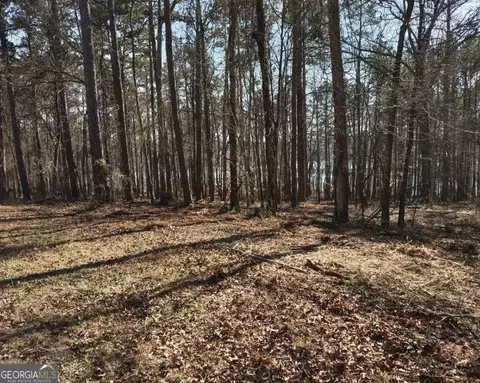 12425 Panhandle Rd, Hampton, GA 30228 photo 3
