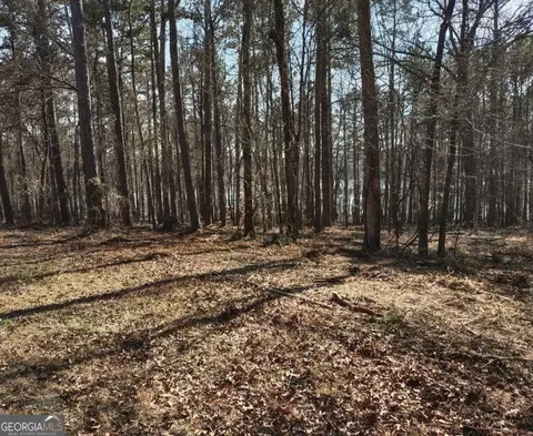 12425 Panhandle Rd, Hampton, GA 30228 photo 6