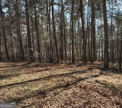 12425 Panhandle Rd, Hampton, GA 30228 photo 7