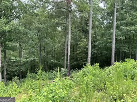 0 Ferry Rd, Franklin, GA 30217 photo 10