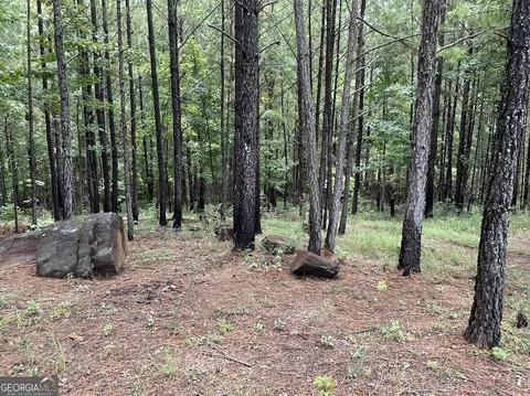 0 Ferry Rd, Franklin, GA 30217 photo 5