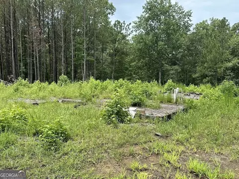 0 Ferry Rd, Franklin, GA 30217 photo 3