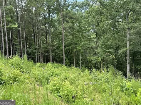 0 Ferry Rd, Franklin, GA 30217 photo 9