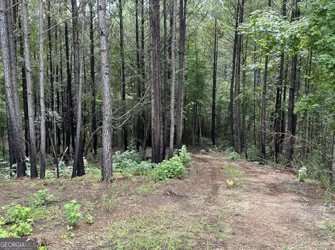0 Ferry Rd, Franklin, GA 30217 photo 11