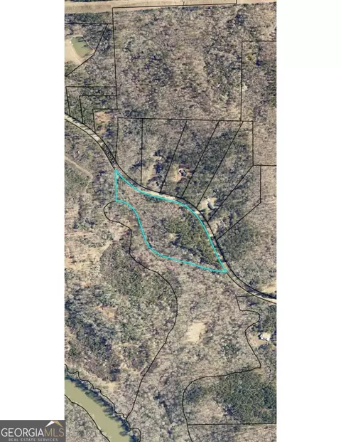 0 Ferry Rd, Franklin, GA 30217 photo 1