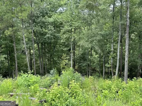 0 Ferry Rd, Franklin, GA 30217 photo 8