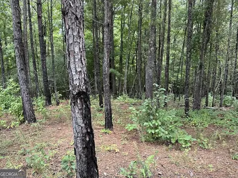 0 Ferry Rd, Franklin, GA 30217 photo 6