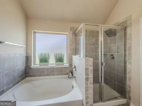 Bath - 45 Streamside Dr, Covington, GA 30016 photo 3 of 6