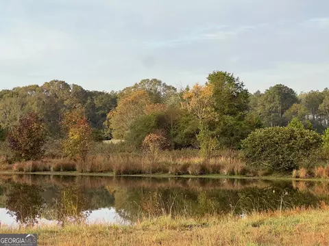 1401 Dixie Rd, Covington, GA 30014 photo 14