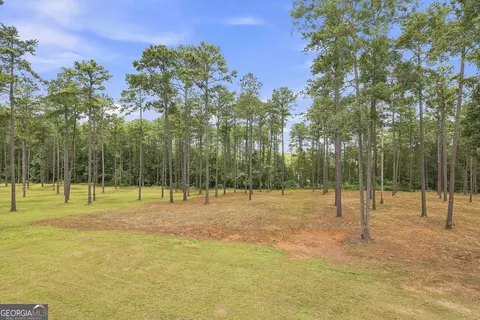 Exterior - 425 Ethridge Mill Rd, Milner, GA 30257 photo 11 of 15