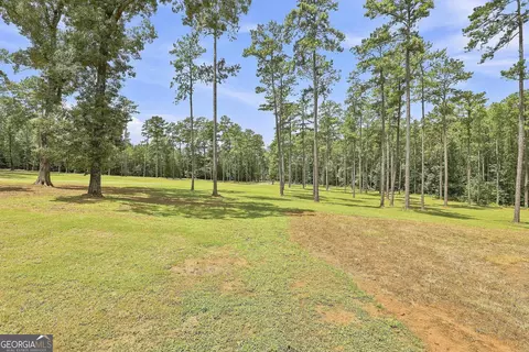 Exterior - 425 Ethridge Mill Rd, Milner, GA 30257 photo 5 of 15