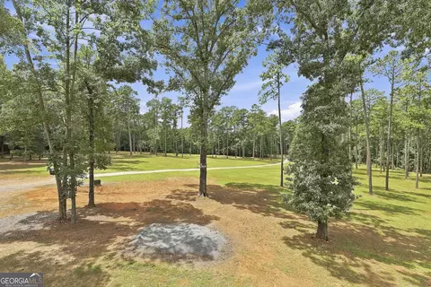 Exterior - 425 Ethridge Mill Rd, Milner, GA 30257 photo 12 of 15