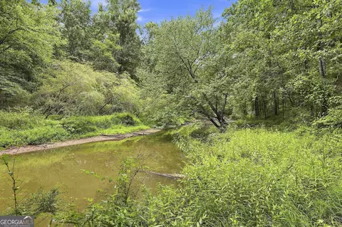 View/Area - 425 Ethridge Mill Rd, Milner, GA 30257 photo 3 of 7