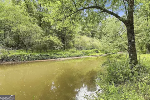 View/Area - 425 Ethridge Mill Rd, Milner, GA 30257 photo 5 of 7