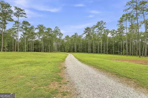 Other - 425 Ethridge Mill Rd, Milner, GA 30257 photo 2 of 20