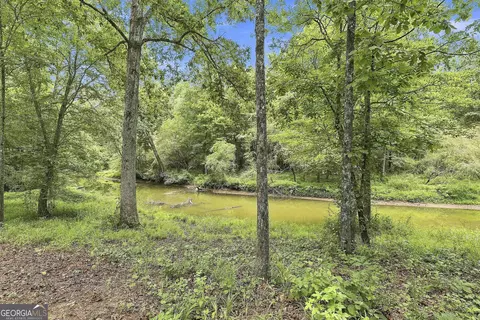View/Area - 425 Ethridge Mill Rd, Milner, GA 30257 photo 7 of 7
