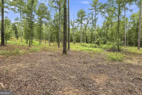 Exterior - 425 Ethridge Mill Rd, Milner, GA 30257 photo 14 of 15