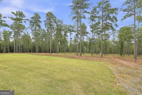 Exterior - 425 Ethridge Mill Rd, Milner, GA 30257 photo 3 of 15
