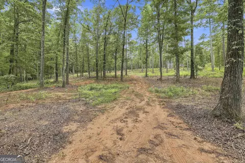 Other - 425 Ethridge Mill Rd, Milner, GA 30257 photo 20 of 20