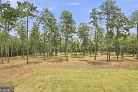Exterior - 425 Ethridge Mill Rd, Milner, GA 30257 photo 10 of 15