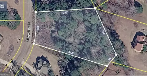 825 Ridgeview Ct, Hampton, GA 30228 photo 2
