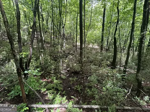 0 Mountain Crest Dr, Clarkesville, GA 30523 photo 6