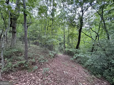 0 Mountain Crest Dr, Clarkesville, GA 30523 photo 5