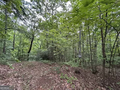 0 Mountain Crest Dr, Clarkesville, GA 30523 photo 4
