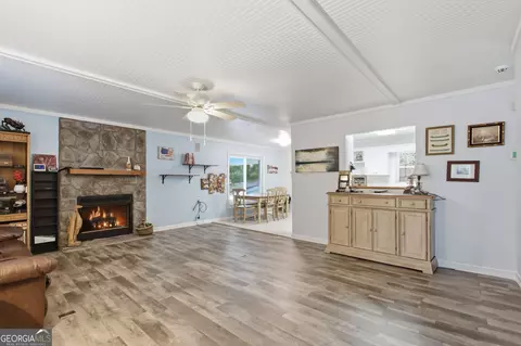 Other - 834 Hardy Rd, Martin, GA 30557 photo 5 of 18