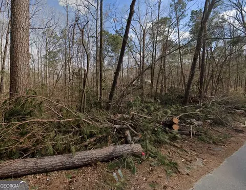 298 Henry Higgins Rd, Jackson, GA 30233 photo 2