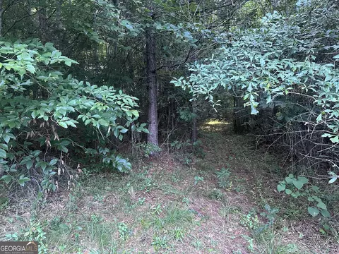 Other - 1069 Harbert Valley Rd, Toccoa, GA 30577 photo 4 of 4