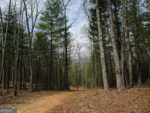 0 E New Hope Rd #TRACT B, Ellijay, GA 30536