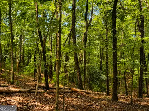 J208 Pine Ridge Road, Ellijay, GA 30536