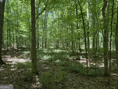 0 Kendricks Mill Rd, Crawfordville, GA 30631