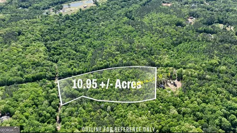 0 Highway 54 Apt 1095- Ac #10.95+/- AC, Senoia, GA 30276
