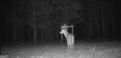 0 Bevis Rd, Franklin, GA 30217 photo 29